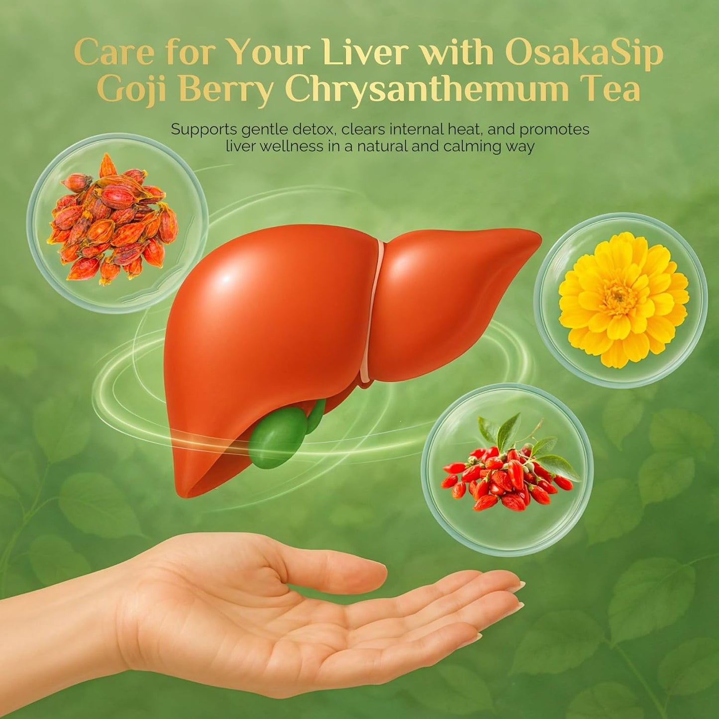 Osaka Sip Goji Berry Chrysanthemum Tea Bags